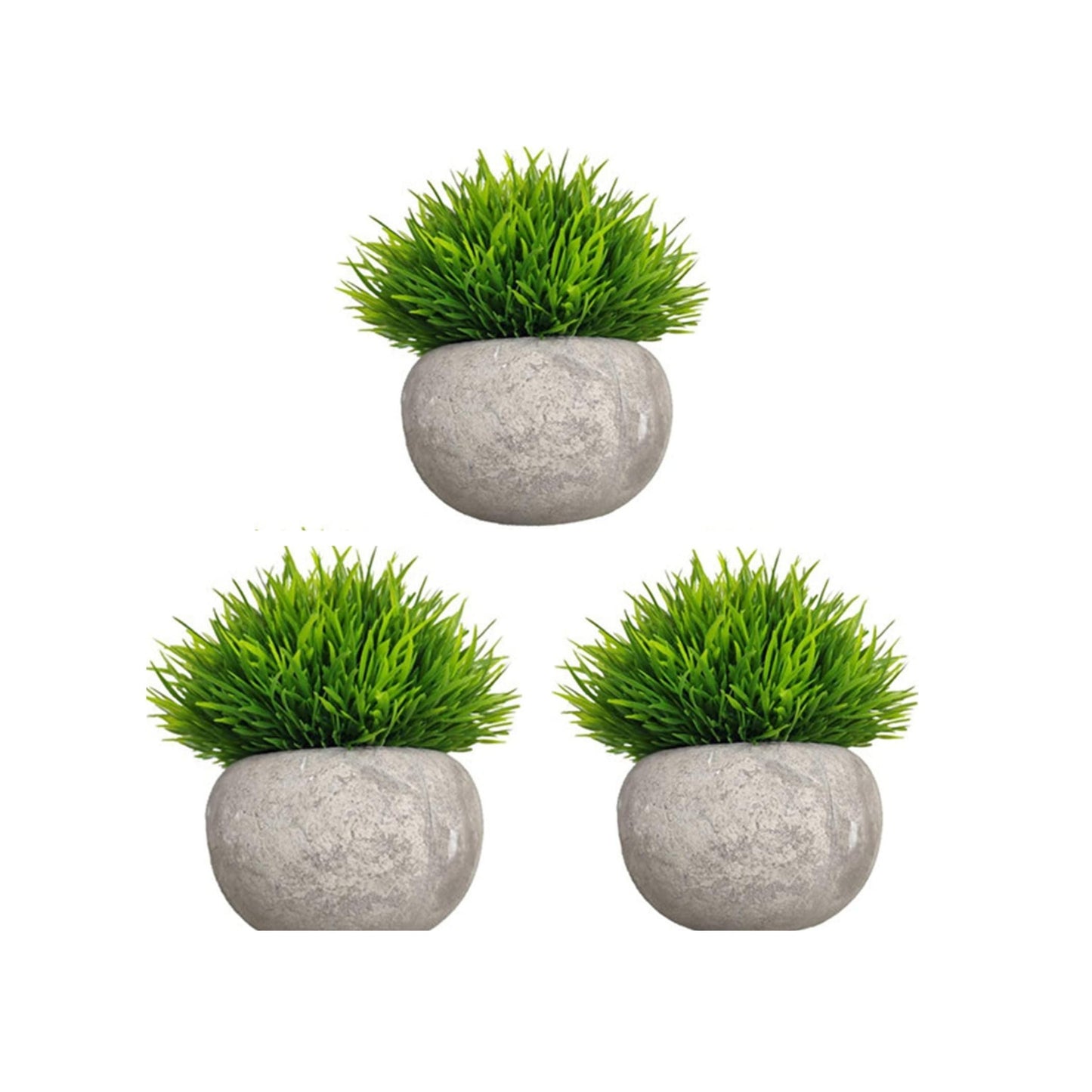 3 Pack Mini Green Herb Plant